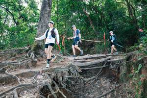 BIB: 
                            <button type="button" onclick="openModal(27721274)" class="btn btn-primary btn-sm float-right btn-popup" data-toggle="modal" data-target=".modal-high-quality">
                        <i class="fas fa-shopping-cart"></i> Add to Cart
                    </button>
                                            <button type="button" onclick="isThisMe(27721274, true)" class="btn btn-success btn-sm float-right btn-popup btn-isme hidden" data-toggle="tooltip" data-placement="bottom" title="นี่คือรูปของคุณใช่ไหม คลิกที่นี่เพื่อเอาเข้าอัลบั้ม">
                        <i class="fas fa-plus"></i> Add to album
                    </button>
                    <button type="button" onclick="isThisMe(27721274, false)" class="btn btn-warning btn-sm float-right btn-popup btn-isnotme hidden">
                        <i class="fas fa-ban"></i> Remove from album
                    </button>